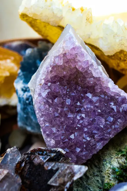Foto: pexels / Mr. Pugo