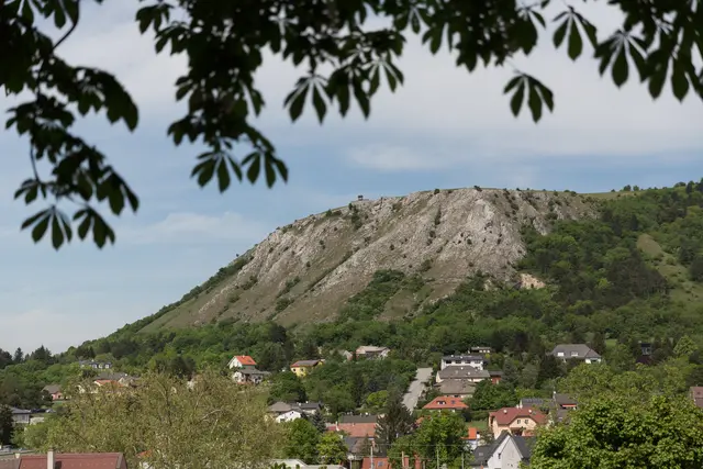 Braunsberg