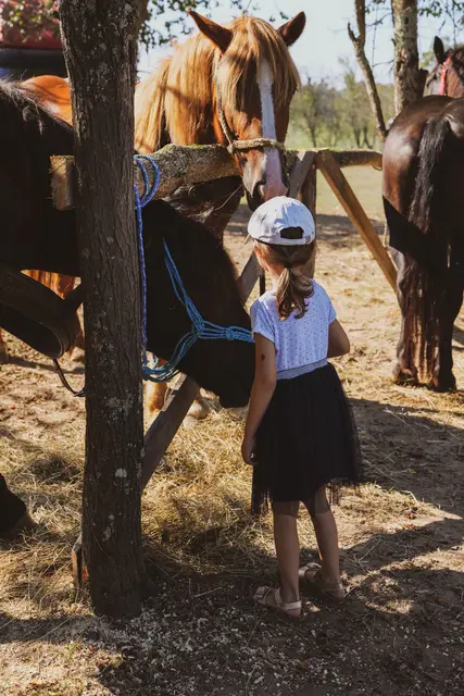 Foto: pexels / Vladimir Srajber
