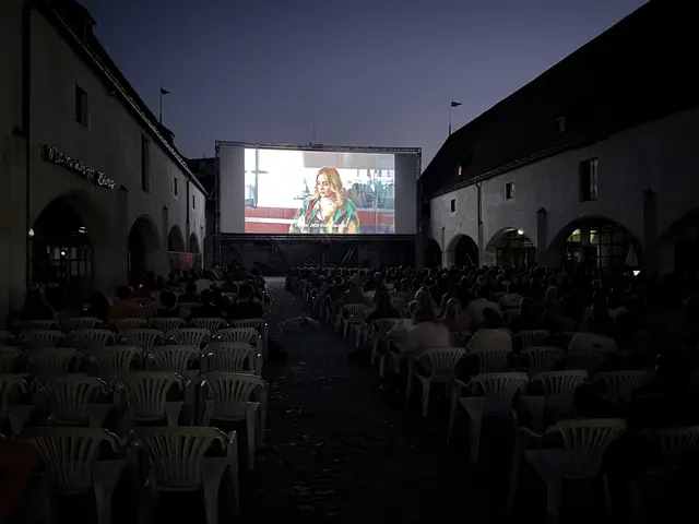 Auch in diesem August gibt es wieder viele spannende Filme beim Open Air Kino. | Foto: Michael Steger