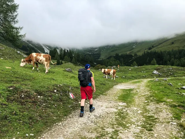 Foto: Land Salzburg/Melanie Hutter