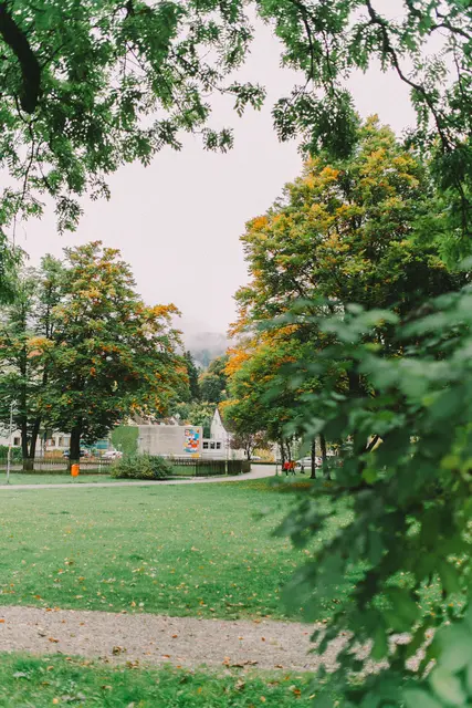 Foto: pexels / Nataliya Vaitkevich
