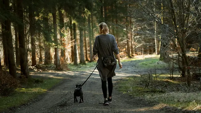 Foto: unsplash / Martin Dalsgaard