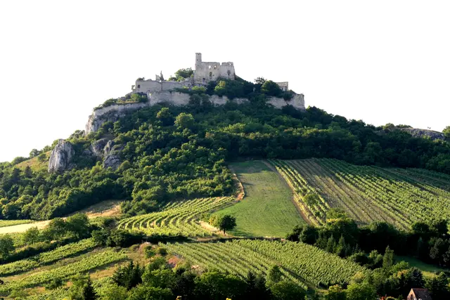 Foto: Weinort Falkenstein