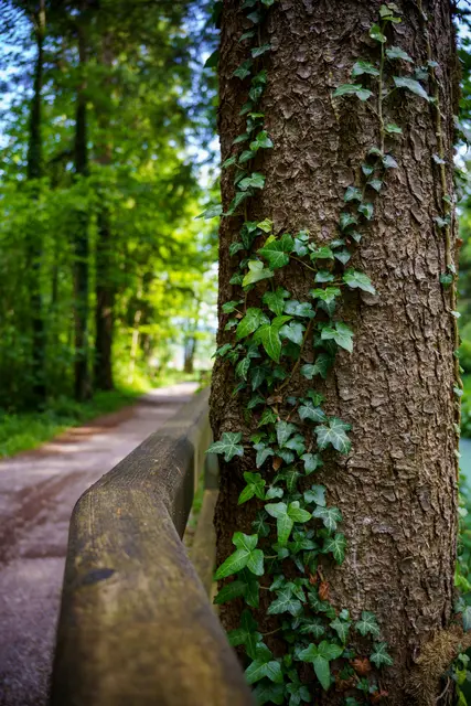 Foto: pexels / Michał Robak
