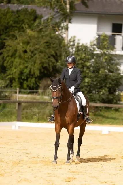 Das Dressturnier findet in Oepping statt. | Foto: Emilia Eibl Fotografie