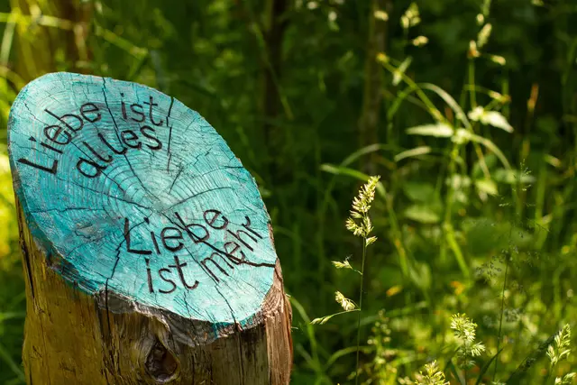 Foto: pexels / Birgit Böllinger