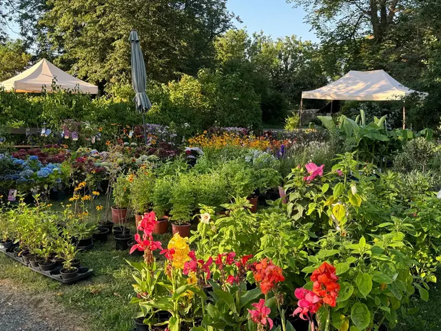 Blumen aller Art verwandeln Schloss Greillenstein in ein sommerliches Gartenparadies.  | Foto: Gartenlust