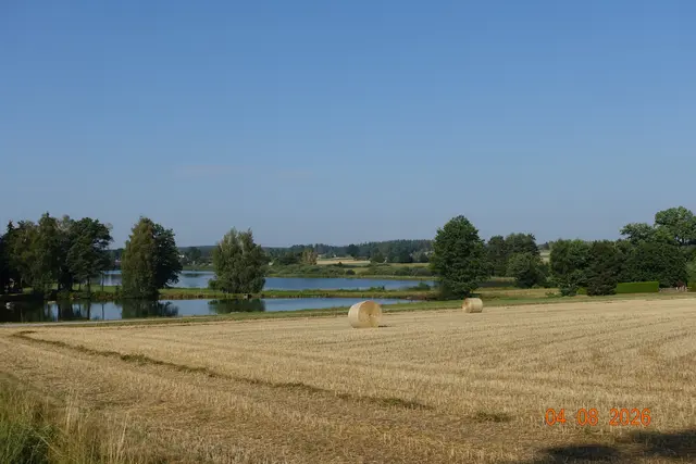 Foto: Mautner
