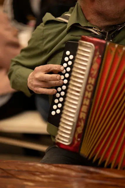 Foto: pexels / Lorenzo Manera