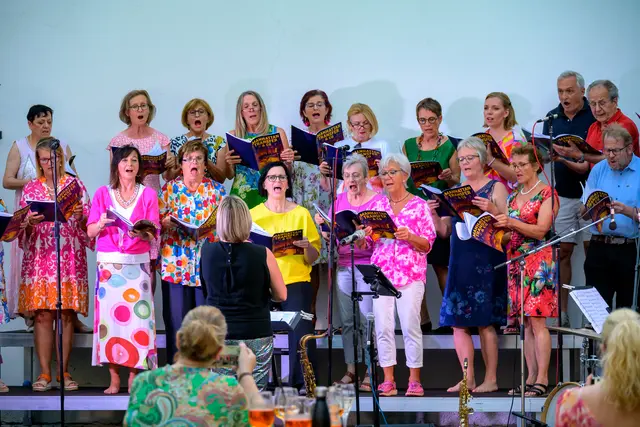 Beim Internationalen Chorseminar im Schloss Zell an der Pram erarbeiten Sängerinnen und Sänger aus verschiedenen Ländern ein Programm von Kirchenmusik über klassische Werke bis zu Jazz und Pop. In vier Konzerten präsentieren sie die Ergebnisse. | Foto: Chorseminar Zell
