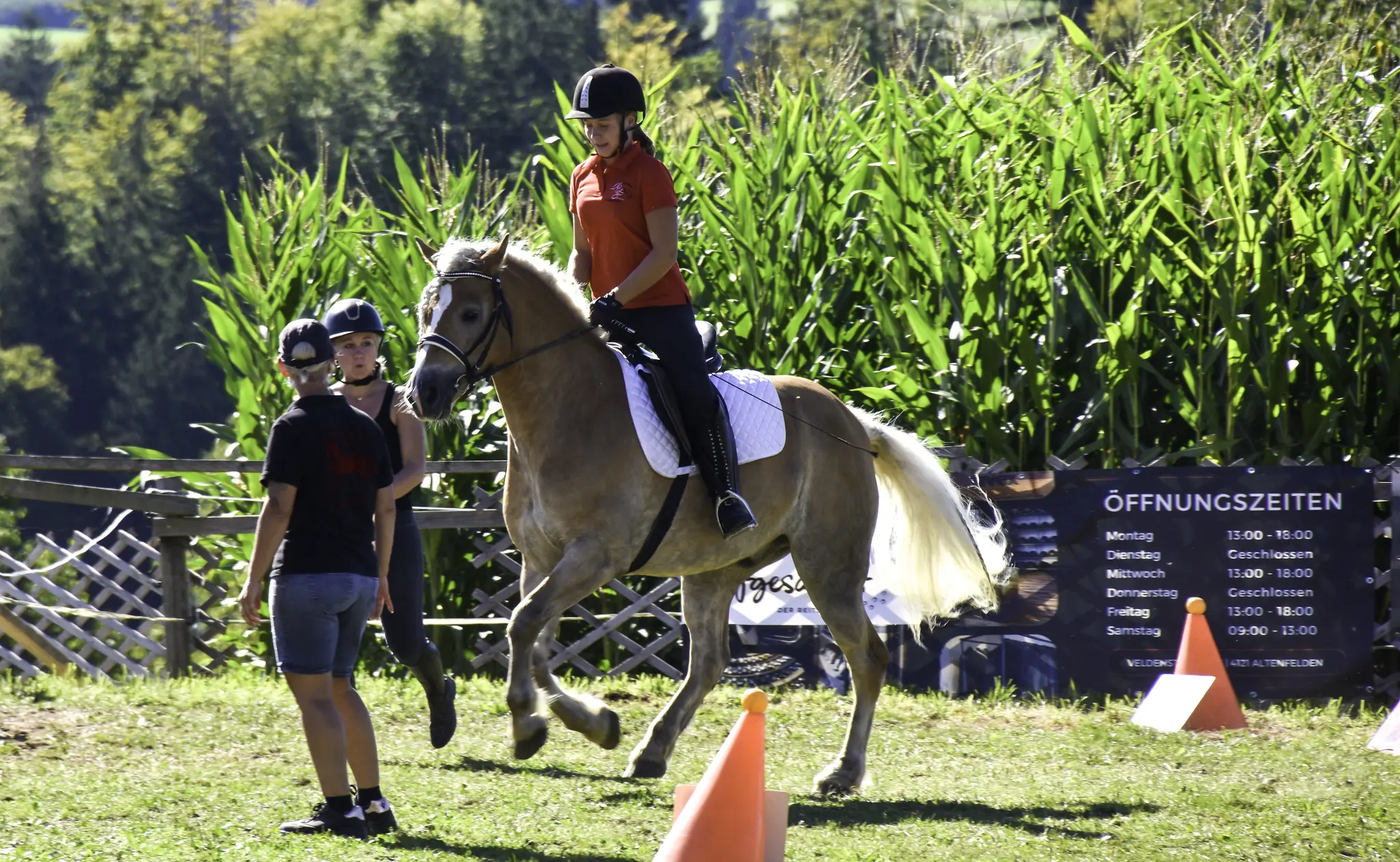 Equestrian festival in Pfarrkirchen - | Carriage rides and foal raffle