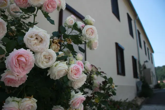 Wohlfühltage im AndersOrt Haus der Frauen genießen. | Foto: AndersOrt Haus der Frauen