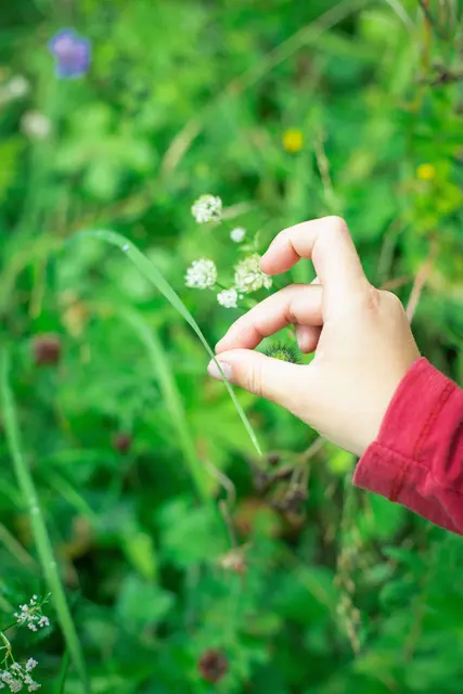 Foto: pexels / Markus Spiske