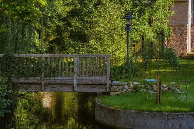 Foto: pexels / Gundula Vogel