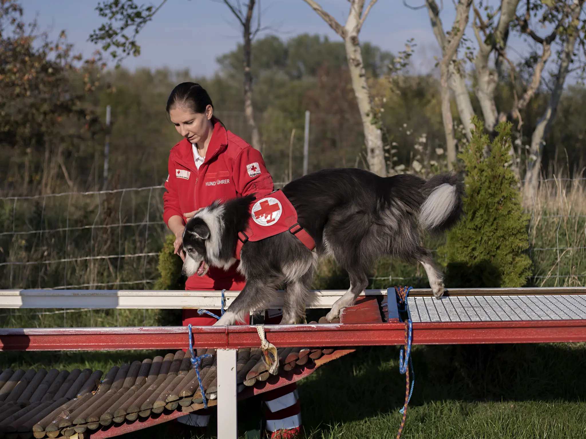 Drohnenstaffel und Suchhunde beim Familienfest des Roten Kreuzes