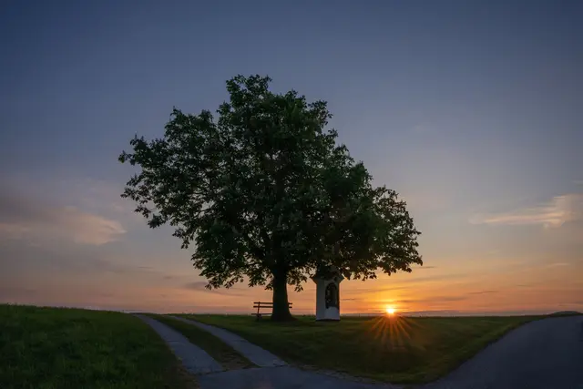 Foto: pexels / Gerhard adF Hofmarcher