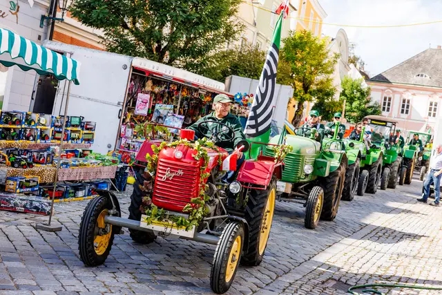 Symbolbild: Traktortreffen findet am 30.8. in Breitenwaida statt. | Foto: Herbert Schleich