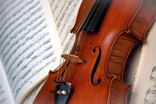 Foto: pixabay / Ri_Ya