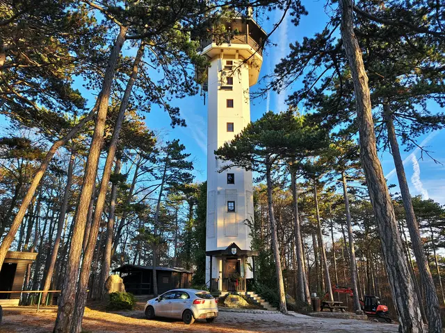 Die Aussichtswarte am Guglzipf (Triestingtal, Bez. Baden, NÖ).
 &gt;&gt;&gt; Link zur Bilddoku "Der Guglzipf, Hausberg von Berndorf"  | Foto: Silvia Plischek