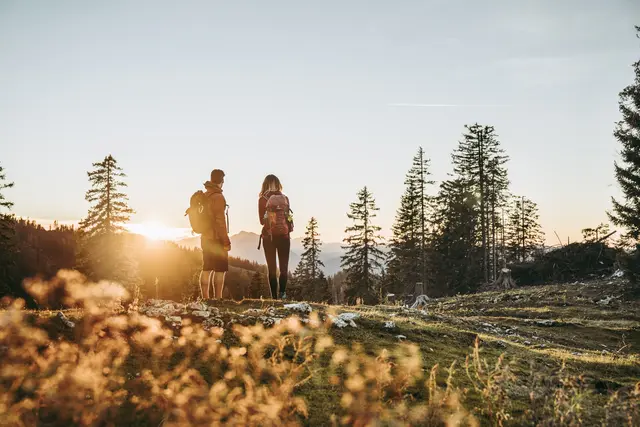 Der IVV Fit-Wandertag lädt dazu ein, die Region zu Fuß zu erkunden und gemeinsam aktiv zu sein. | Foto: Niederösterreich Werbung/Max Mauthner