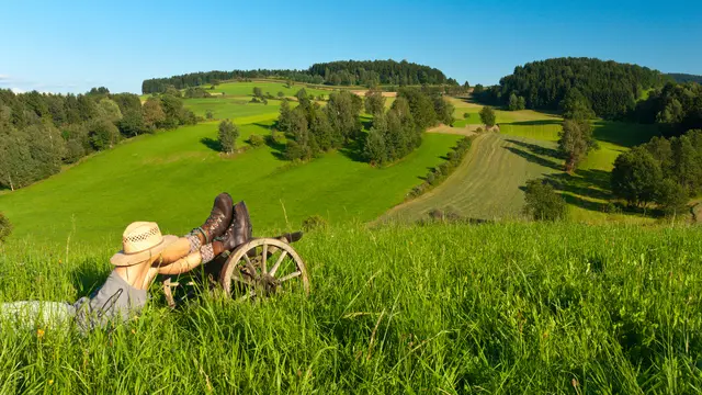 Drei verschiedene Strecken gibt es beim Wandertag in Nebelberg zur Wahl.  | Foto: Josef Jungwirth