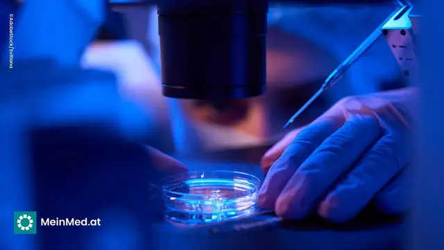 Embryologin im Labor bei der Arbeit