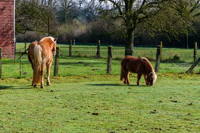 Foto: pexels / Sergej *****