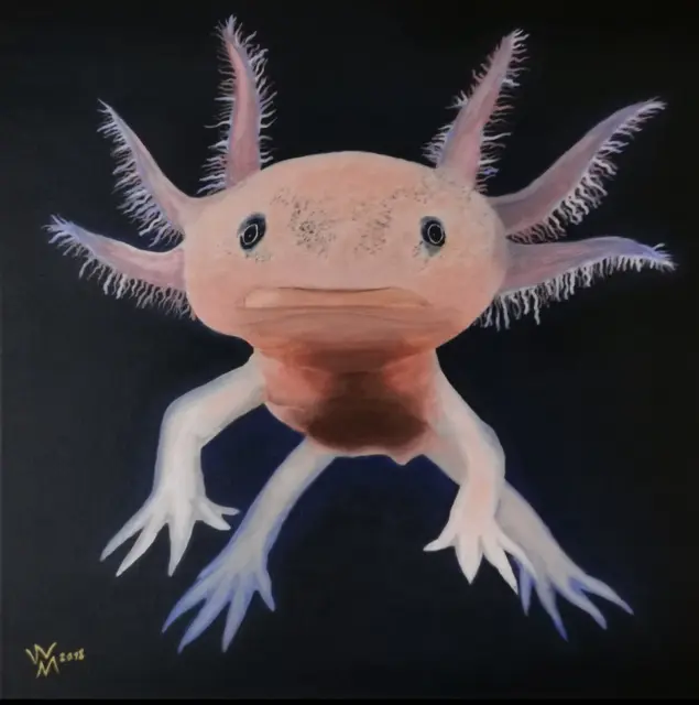 Gemälde Axolotl
