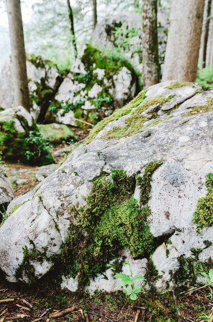 Foto: pexels / Simon Petereit