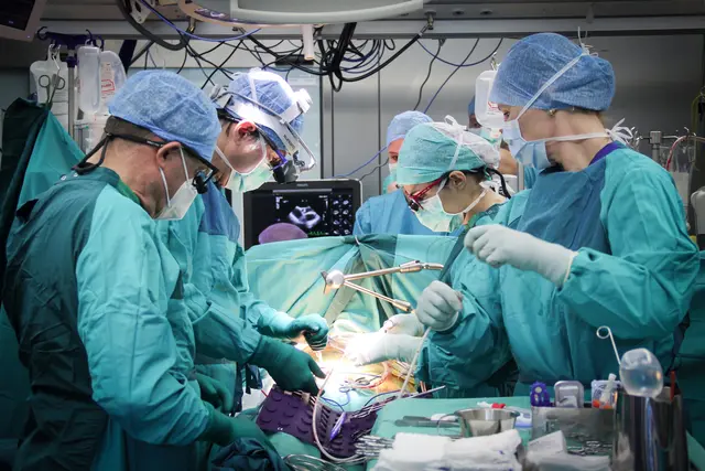 Foto: Anna Steinacher/Wiener Gesundheitsverbund