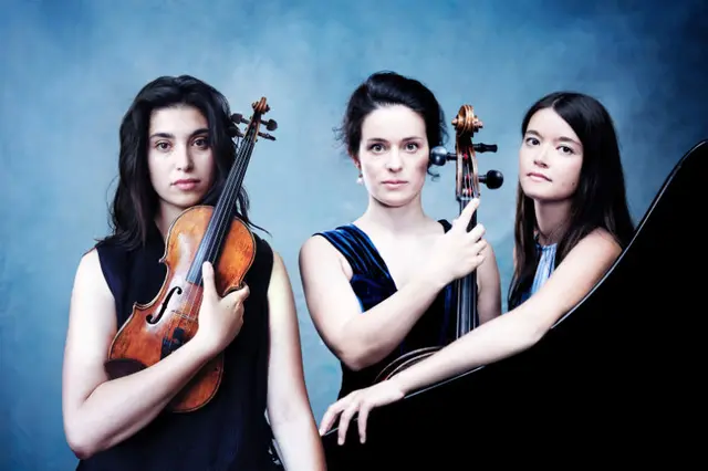 Accio Piano Trio | Foto:  Julia Wesely
