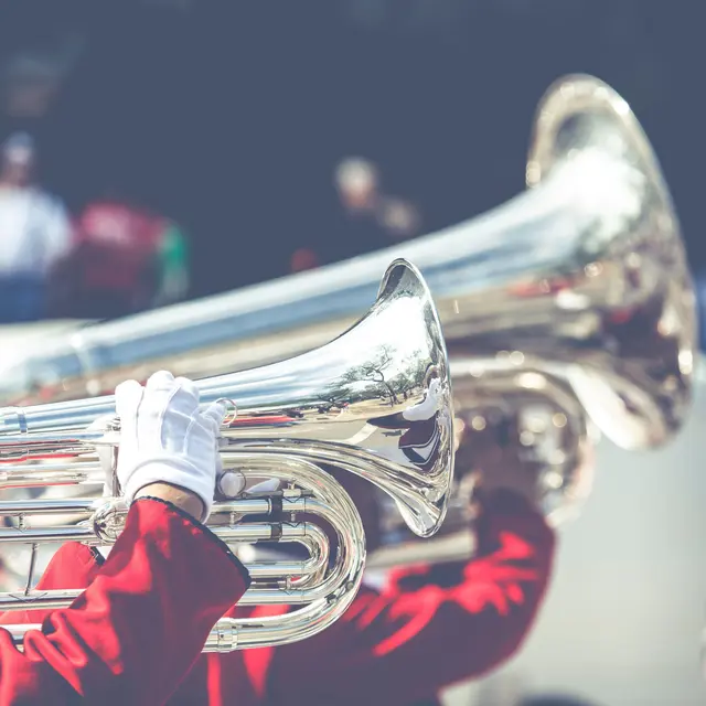 Foto: pexels / Curioso Photography