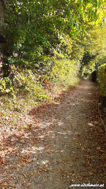 Zu einem gemeinsamen Rundweg im Zuge des Tages der Berg- und Naturwacht wird in Ruprecht am 19. September geladen.  | Foto: Edith Mair