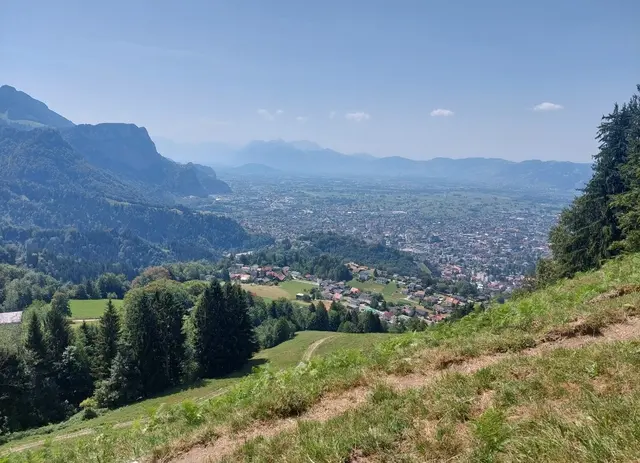 Waldbaden in Bregenz  | Foto: Ögkv Vorarlberg 