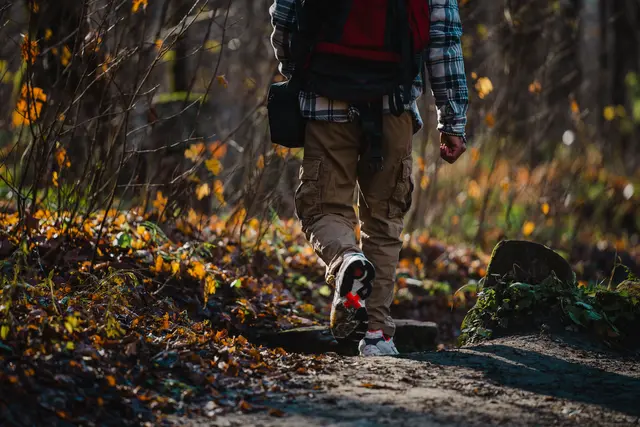 Foto: pexels / apertur 2.8