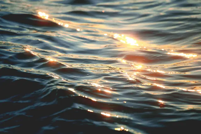 Foto: unsplash / Jordan Steranka