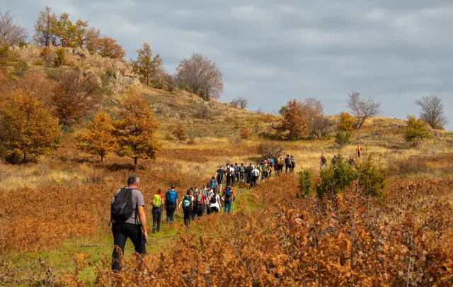 Foto: pexels / Luka Peric