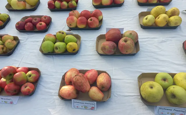 Foto: Obstsortenausstellung © Naturschutzbund