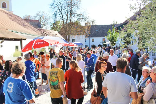 Bei sonnigem und warmem Herbstwetter zog es insgesamt weit über 400 interessierte Besucher in den Meierhof. | Foto: Marktgemeinde Pöttsching