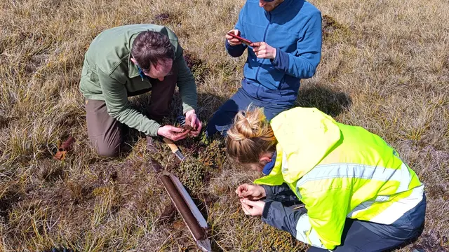 Wissenschaftliche Untersuchungen im Piller Hochmoor ermöglichen Einblicke in 4.800 Jahre Umweltgeschichte und die Spuren menschlicher Aktivitäten in den Alpen. | Foto: Naturpark Kaunergrat