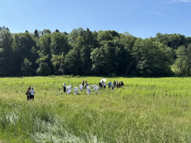 Areal des KZ-Außenlagers in Aflenz