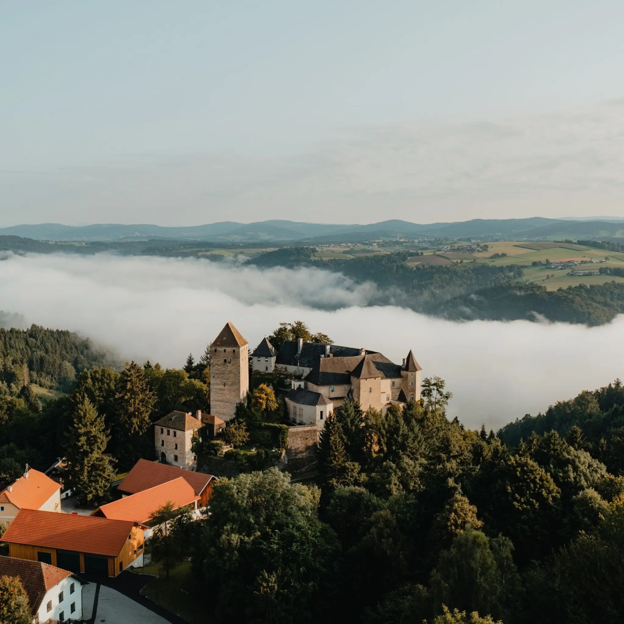 Herbstwanderung in Vichtenstein: 7,5 Kilometer Donaulandschaft