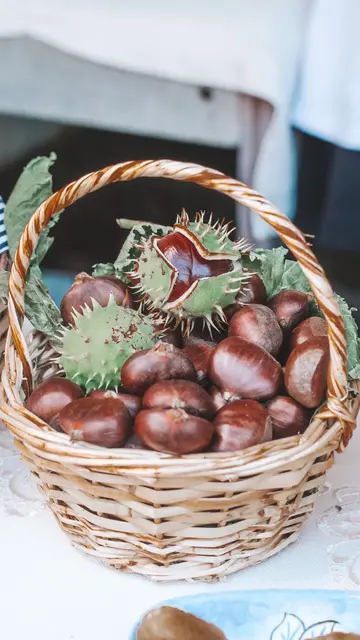 Foto: pexels / Fatma Gül