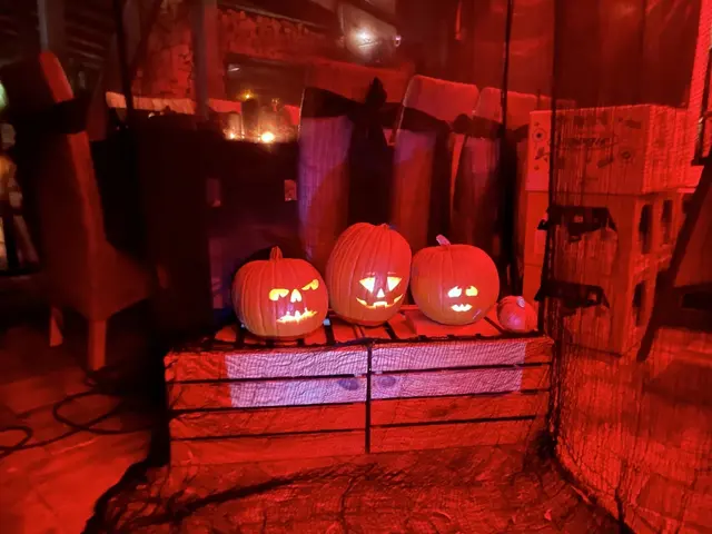 In Altlengbach steigt bald auf der Kollerwiese eine sehr gruselige Halloween-Party.  | Foto: Katrin Pirzl