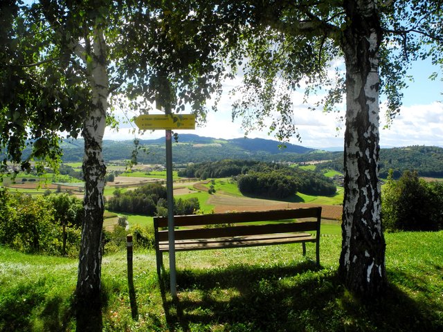 Ein Blick von Flamberg nach St.Nikolai im Sausal !