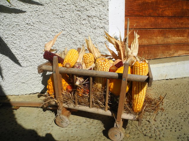 Die Ernte ist eingebracht !
