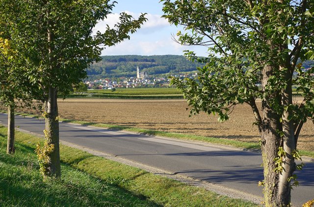 Foto: Roland Strejcek