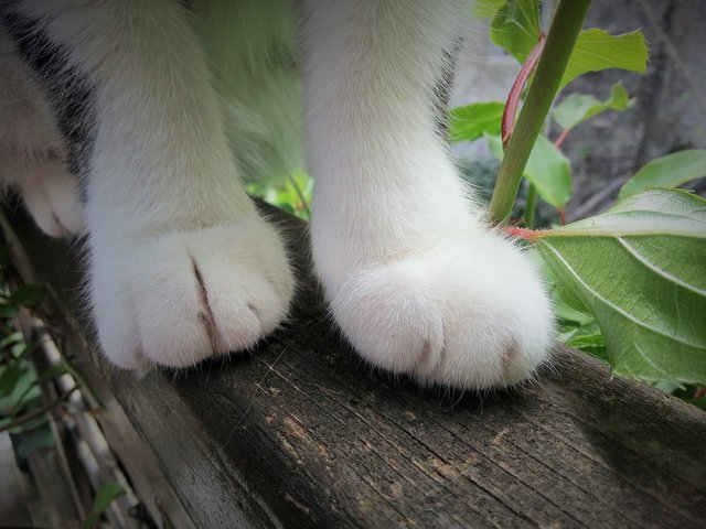 Foto: Margit Markschläger