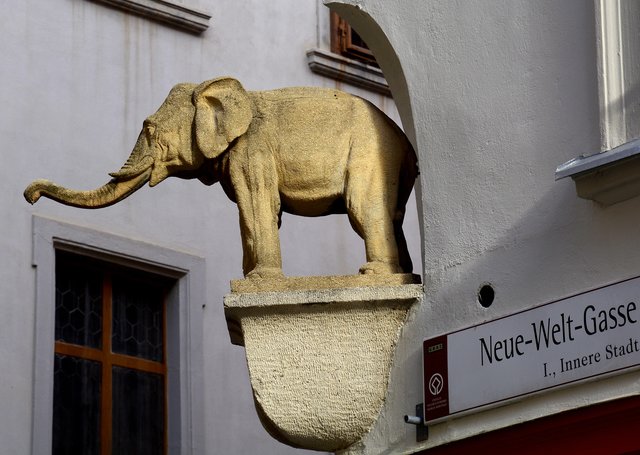 in der Grazer Innenstadt....man muß schon nach oben schauen um ihn zu entdecken